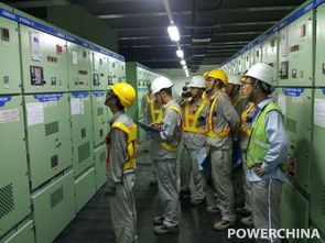卡西姆港燃煤電站2號機組廠用電倒送電一次成功